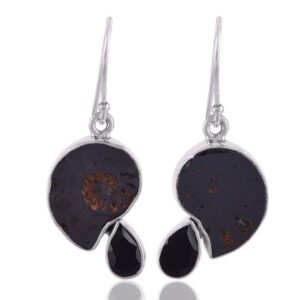 Sterling silver ammonite fossil earrings with black onyx teardrop accents main view