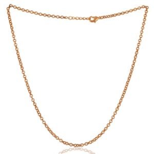 Gold-plated sterling silver chain necklace with lobster clasp, perfect for layering or everyday wear. main view