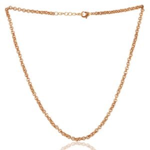 Gold-plated rolo chain necklace with a secure lobster clasp, elegant and timeless design for everyday wear. main view