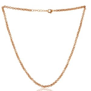 Elegant gold-plated rolo chain necklace with a secure lobster clasp, perfect for everyday wear or layering. main view